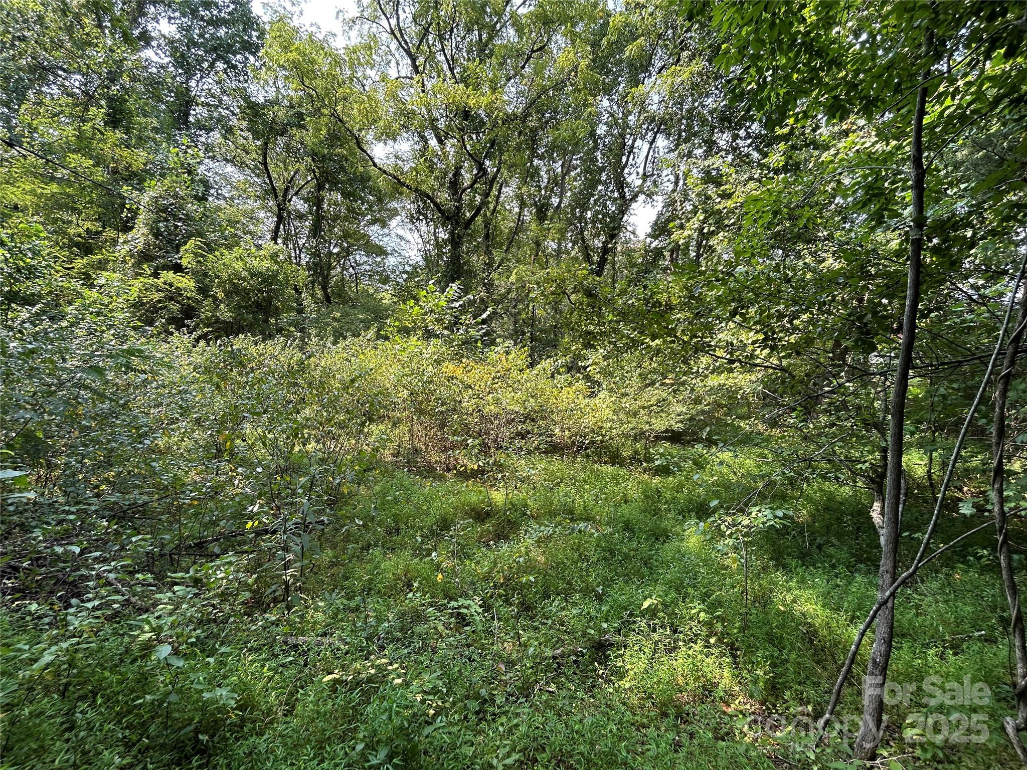 Lindon Cove Crossing - Land