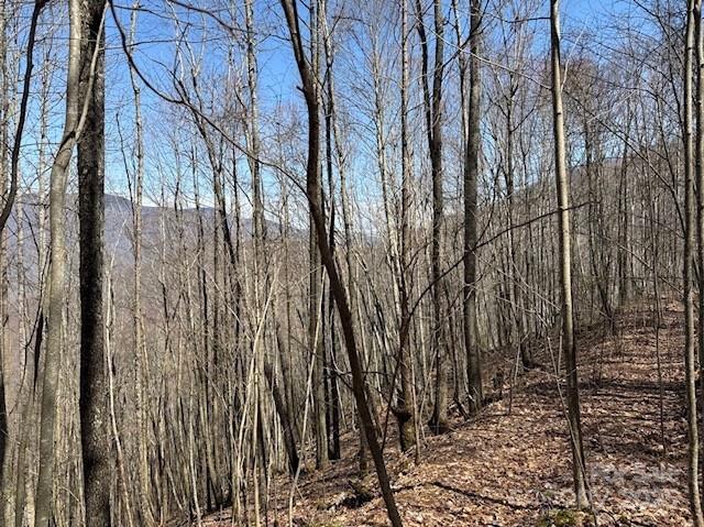 Balsam Mountain Preserve - Land