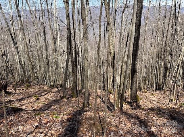 140 Boar Ridge Road 140