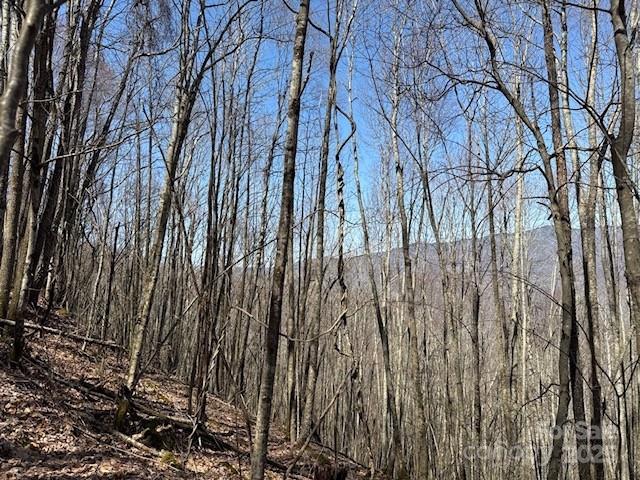 140 Boar Ridge Road 140