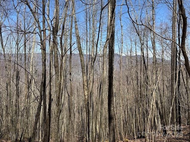 140 Boar Ridge Road 140