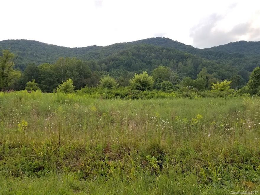 1 Acre Level, cleared lot with mountain view just 0.4 miles past Big Ivy Community Center in Barnardsville. Suitable for garden or other agriculture use. No known restrictions.