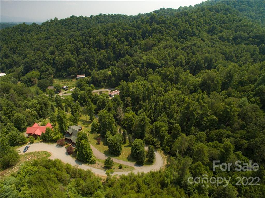 301 The Vines Boulevard 20