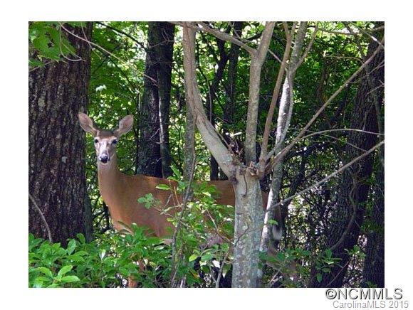 Connestee Falls - Residential