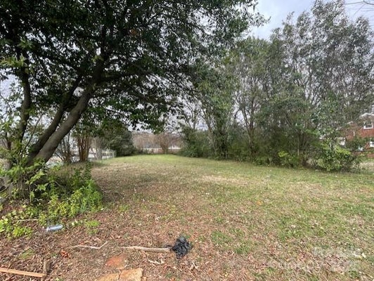 1815 BEATTIES FORD RD, CHARLOTTE, NC 28216 - Image ba69828b96d7fa2aeaf0e4b2b80c0891/4046977365