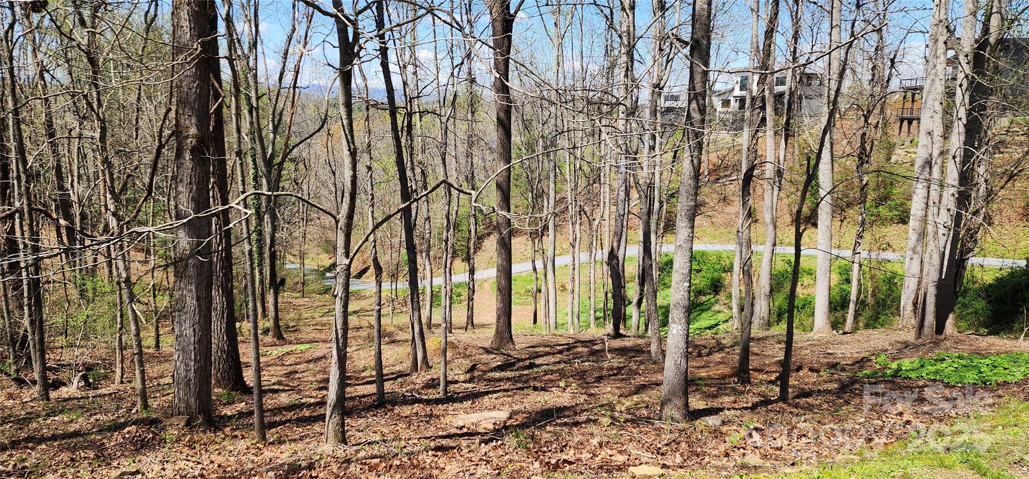 31 Sweet Fern Parkway 42