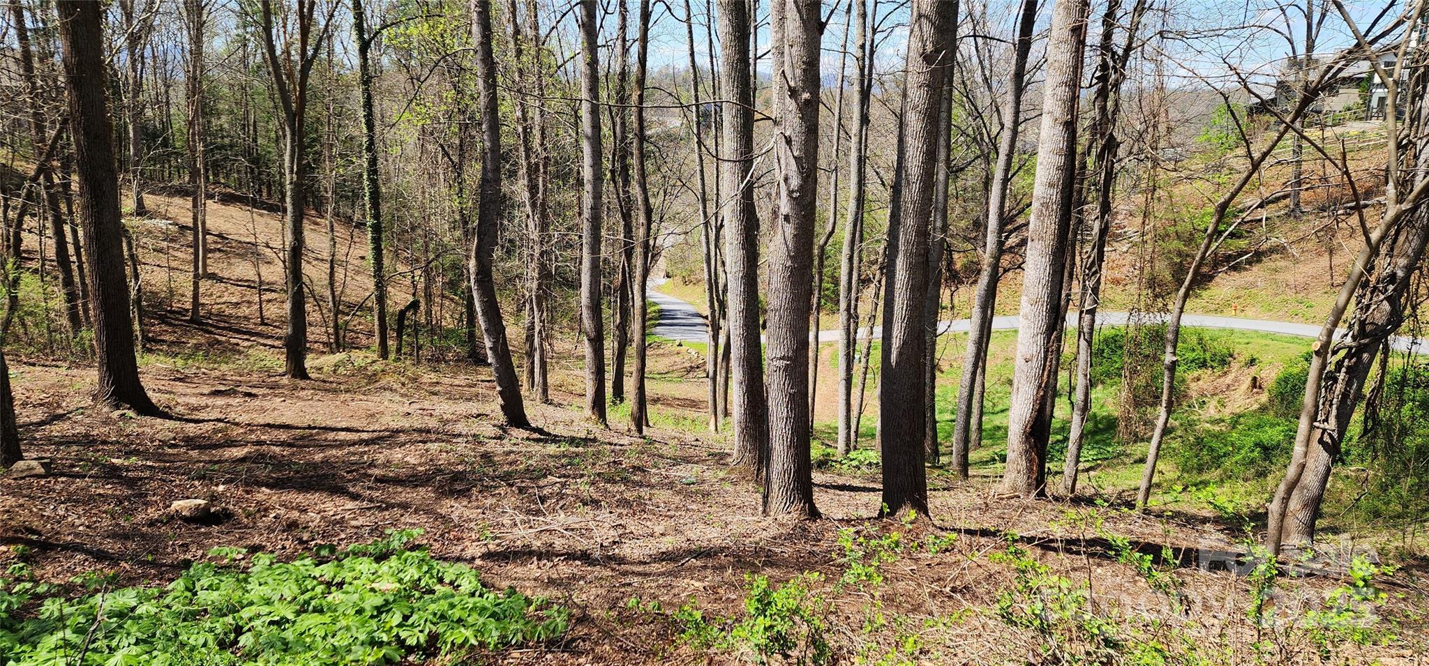 31 Sweet Fern Parkway 42