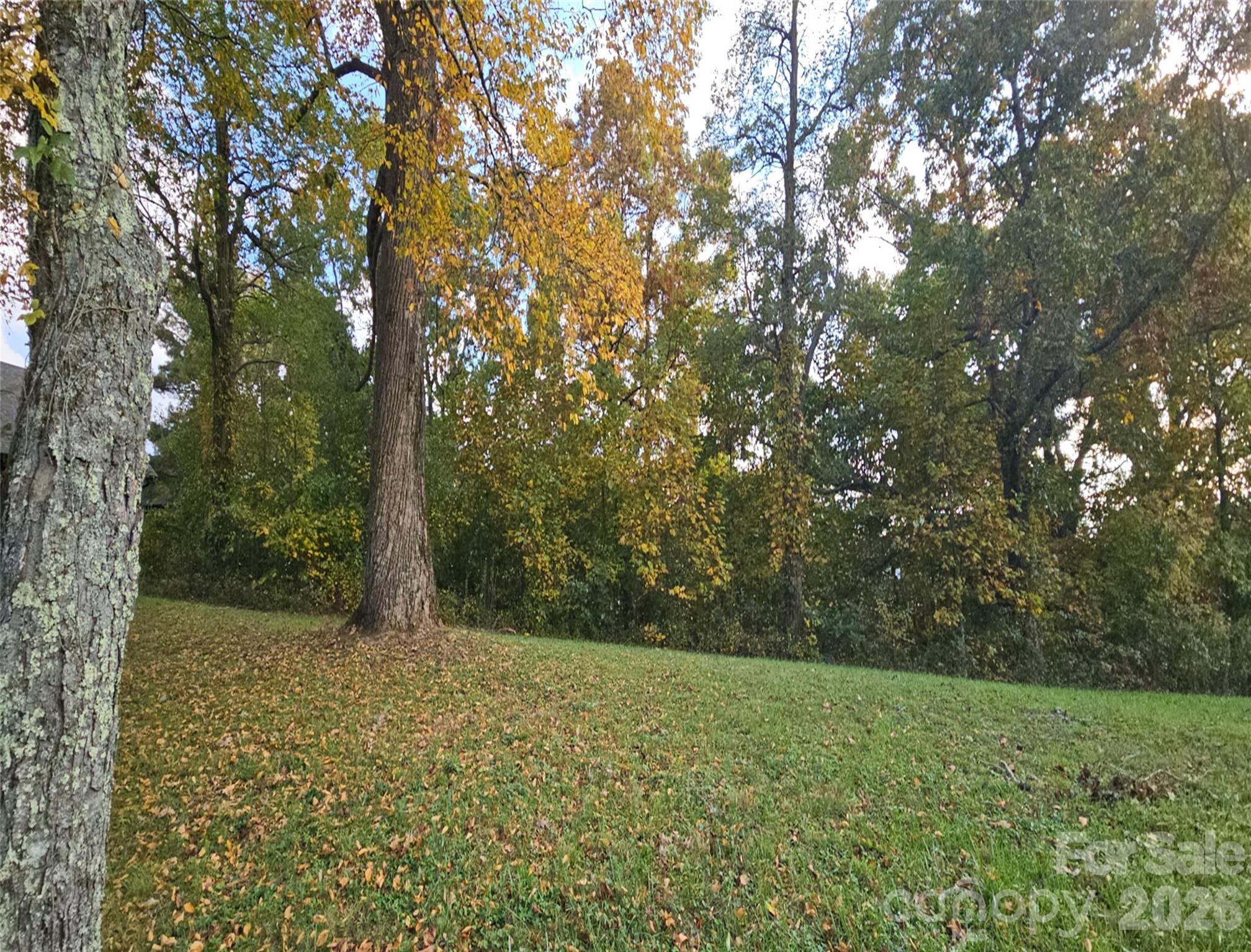 56 N Snow Ridge Drive 9
