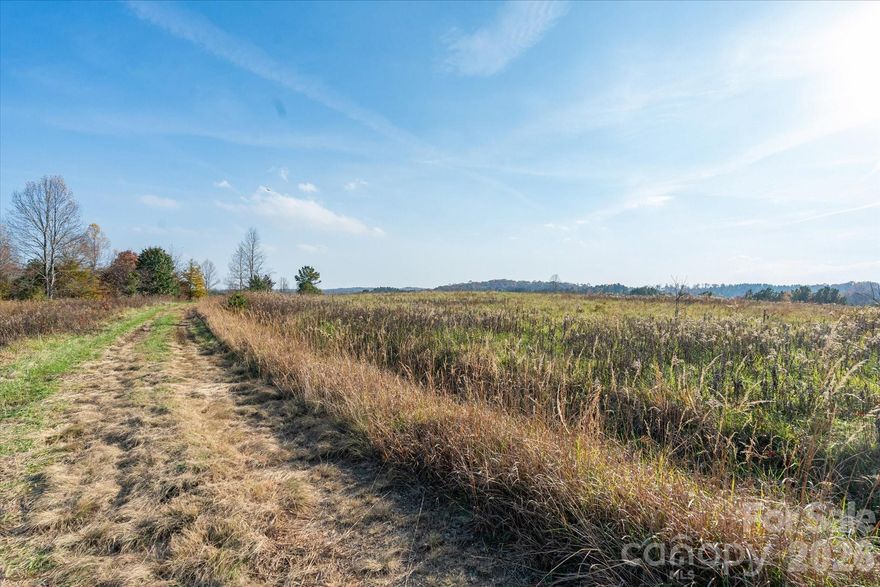 Ideally located only 3 minutes from the Tryon Int'l Equestrian Center and US-74, this +-211 acre property offers a rare combination of usable acreage, sweeping views, water features, privacy, and coveted pasture land! The land features multiple access points, including paved access from Pea Ridge Road, gravel access from Buck Branch Rd and Watkins Rd. A blend of open pastures and wooded areas provides for a beautiful natural environment. Established internal roads weave throughout the property, ideal for riding trails, recreation, or future development options. Water features include springs, a small pond, and a creek that flows through the property for over 1/2 mile. An existing home on the property offers rehab potential and could serve beautifully as a guest house or caretaker’s cottage. The land offers versatility at every turn: create a private estate, develop equestrian facilities, establish agricultural and livestock pursuits, or explore subdivision options. This remarkable large acreage offering has every feature a discerning buyer could ever ask for with an excellent location.