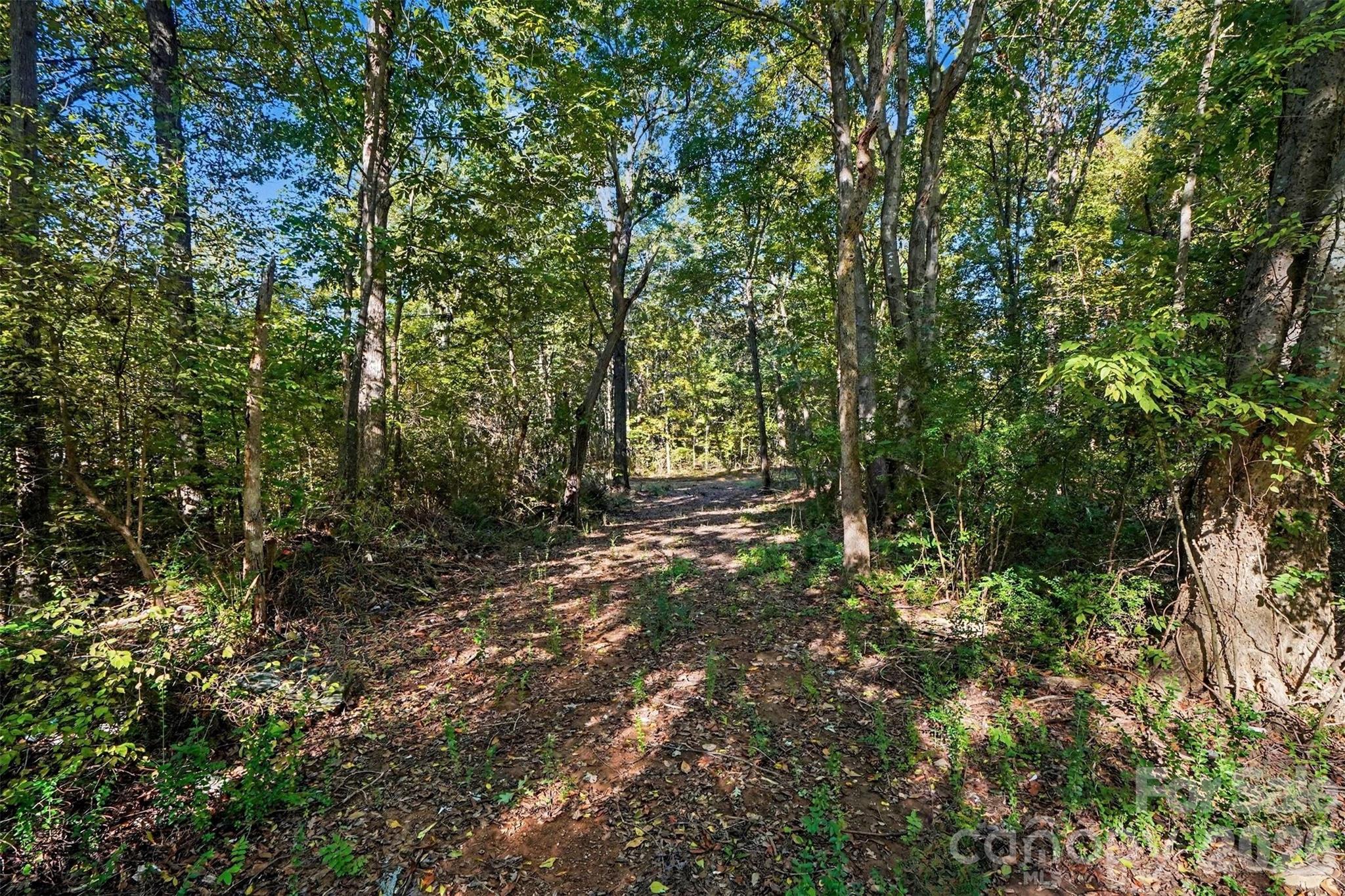 1724 Willis Long Road