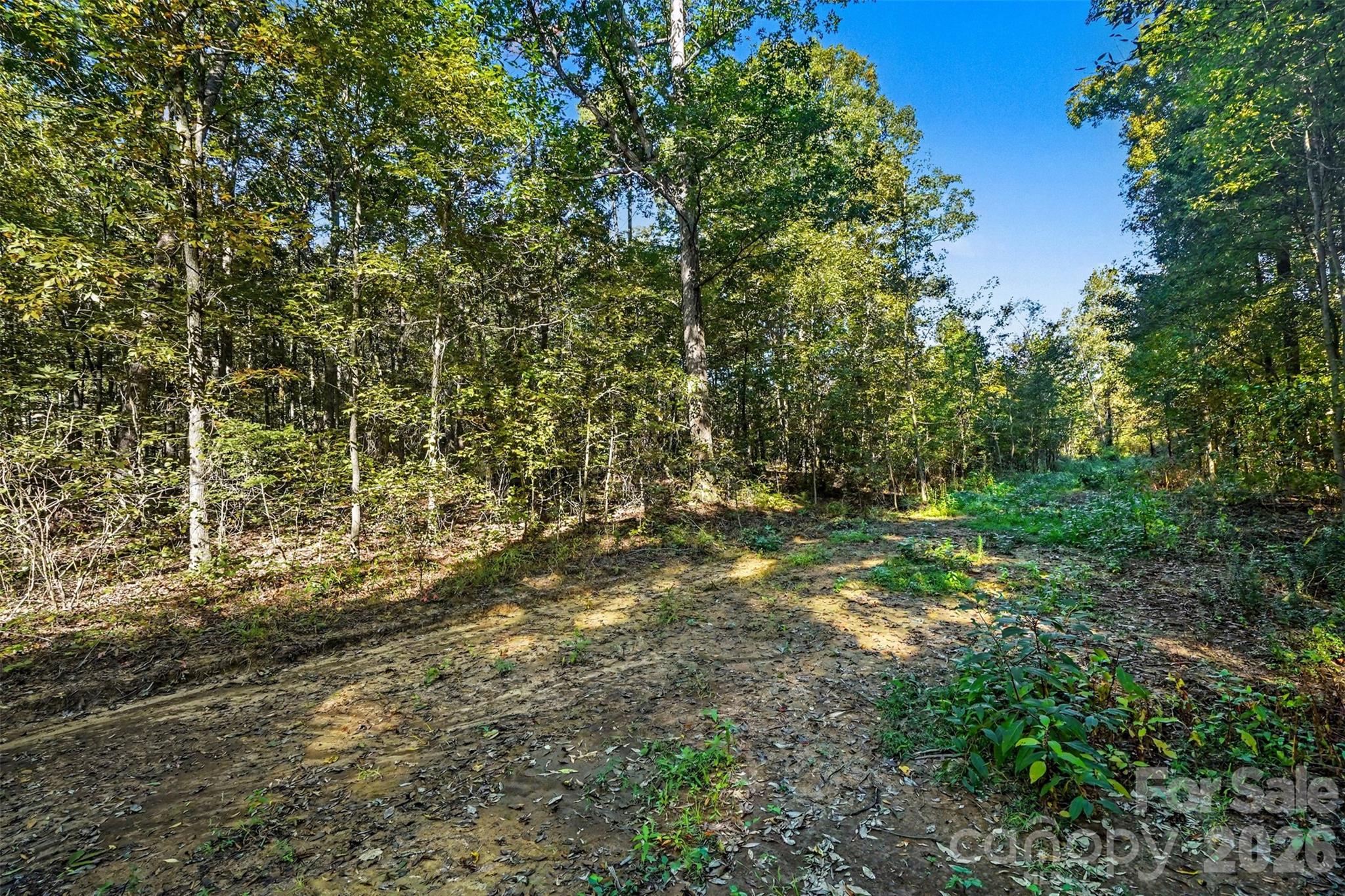 1724 Willis Long Road