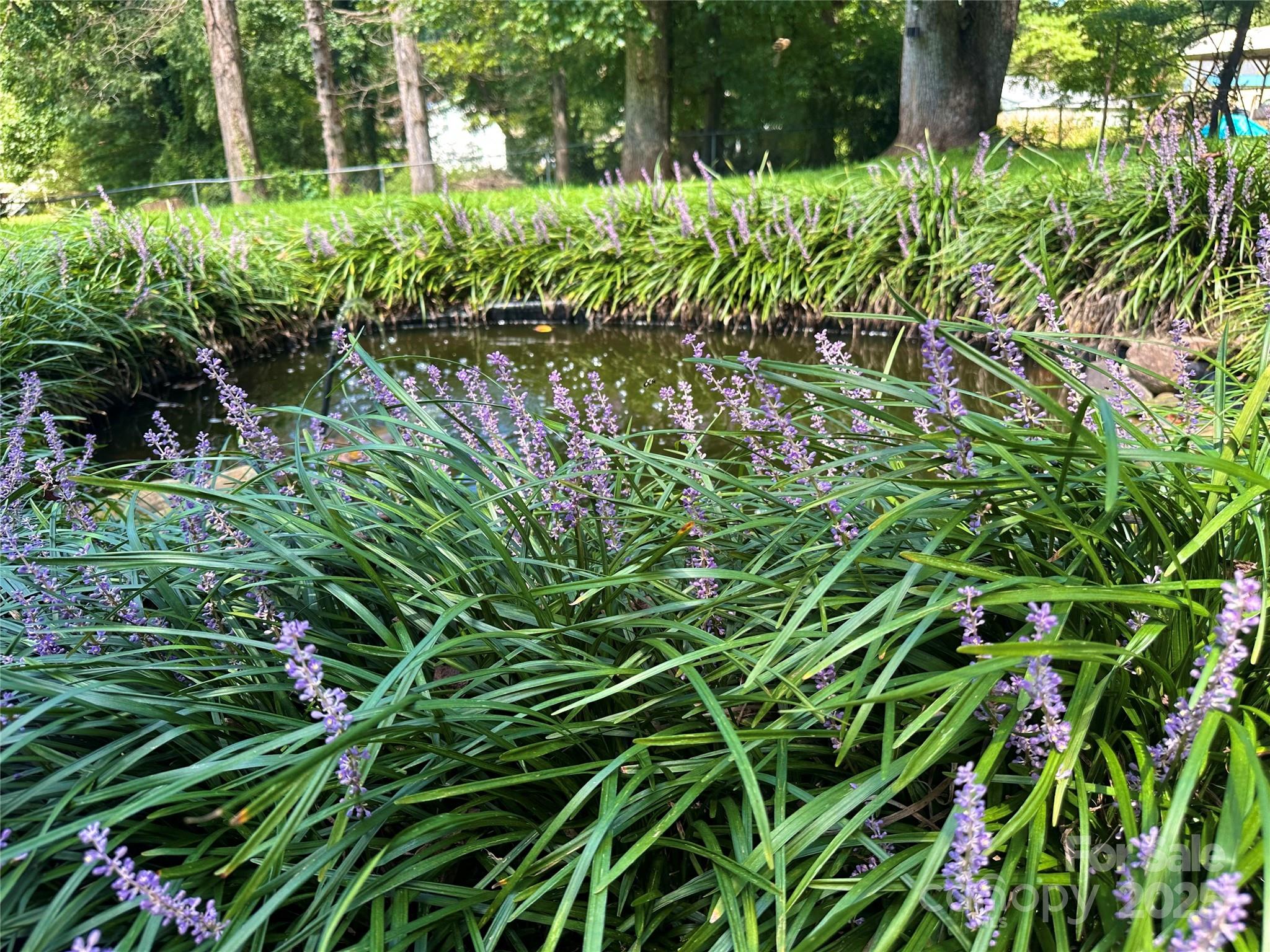 Lenoir, North Carolina 28645, United States, 3 Bedrooms Bedrooms, ,2 BathroomsBathrooms,Residential,Under Contract,208515