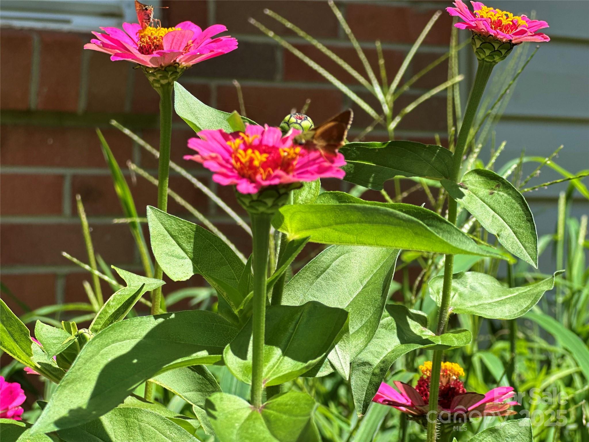 Lenoir, North Carolina 28645, United States, 3 Bedrooms Bedrooms, ,2 BathroomsBathrooms,Residential,Under Contract,208515