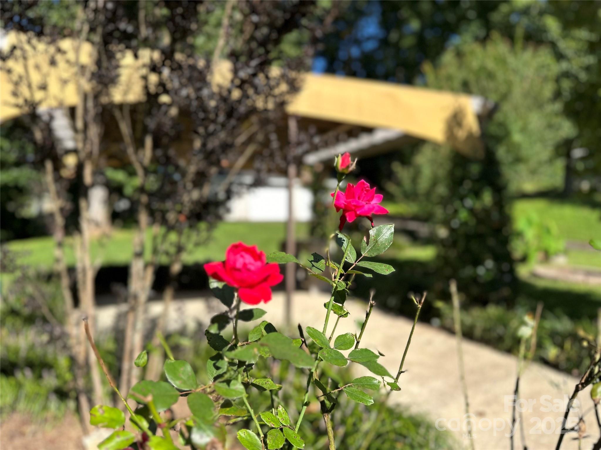 Lenoir, North Carolina 28645, United States, 3 Bedrooms Bedrooms, ,2 BathroomsBathrooms,Residential,Under Contract,208515