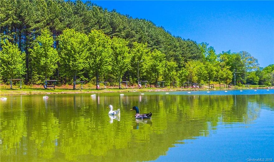 Wow! 32 acres featuring 2 ponds in Iron Station. You may remember and know it as, Catfish Country! An opportunity like this doesn't come along everyday. Rare piece of property located in Lincoln County. Turn this well known "hot spot" into the small outdoor business you've always dreamed of OR build your dream home surrounded by 2 ponds. Country living at its best!**Note, this parcel currently includes 40+ acres, but is being subdivided and sold with only 32 acres, "A Portion of 4889 Old Plank Road, portion of parcel 85024 to be sold." Upper pond is approx. 4.25 acres and the lower pond is approx. 5.7 acres.