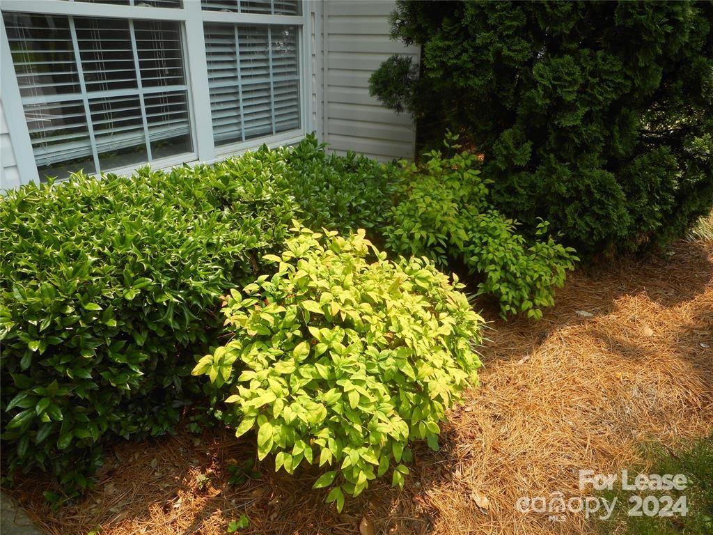 Morrison Place - Residential Lease