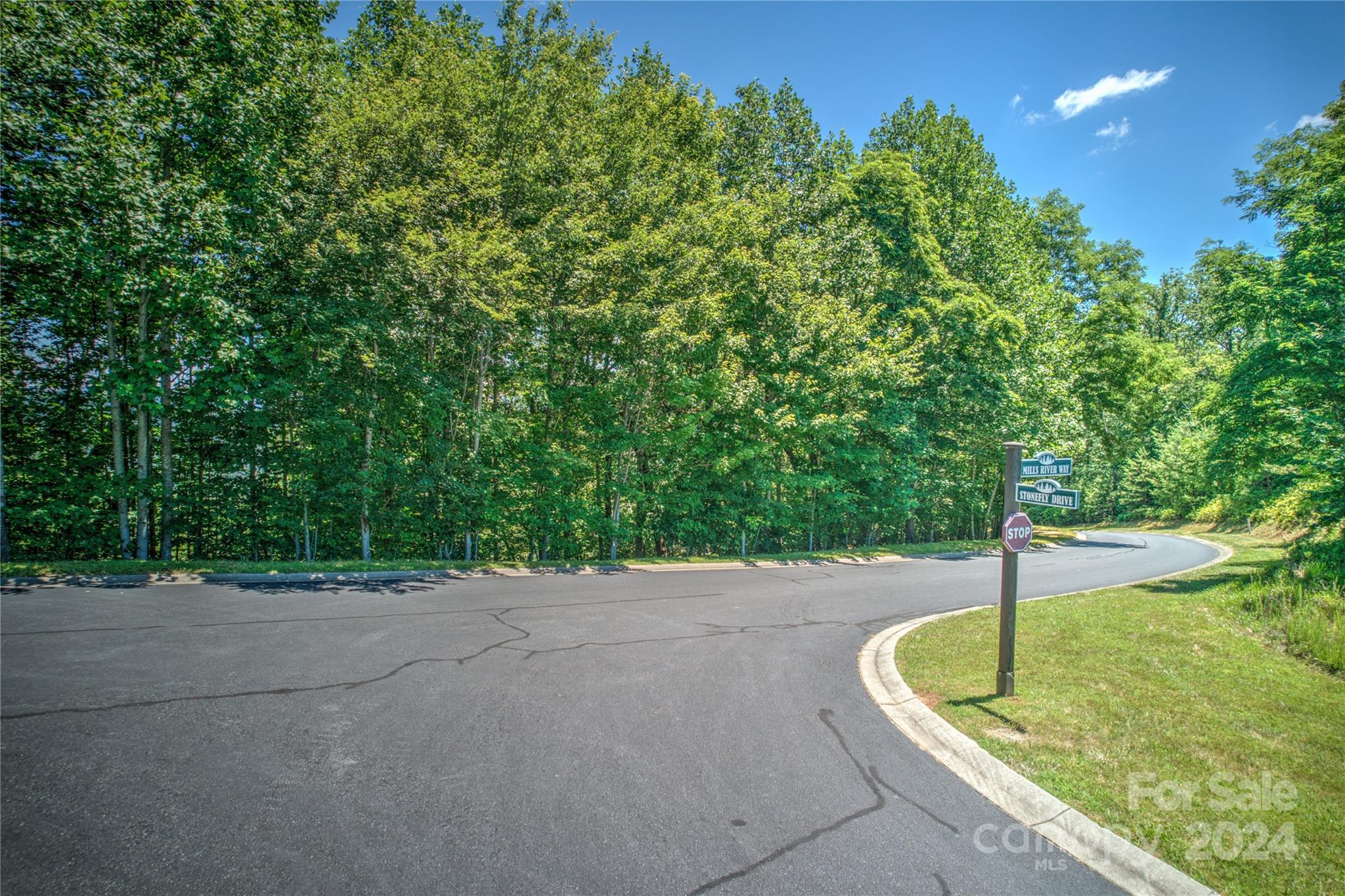 Homestead at Mills River - Land