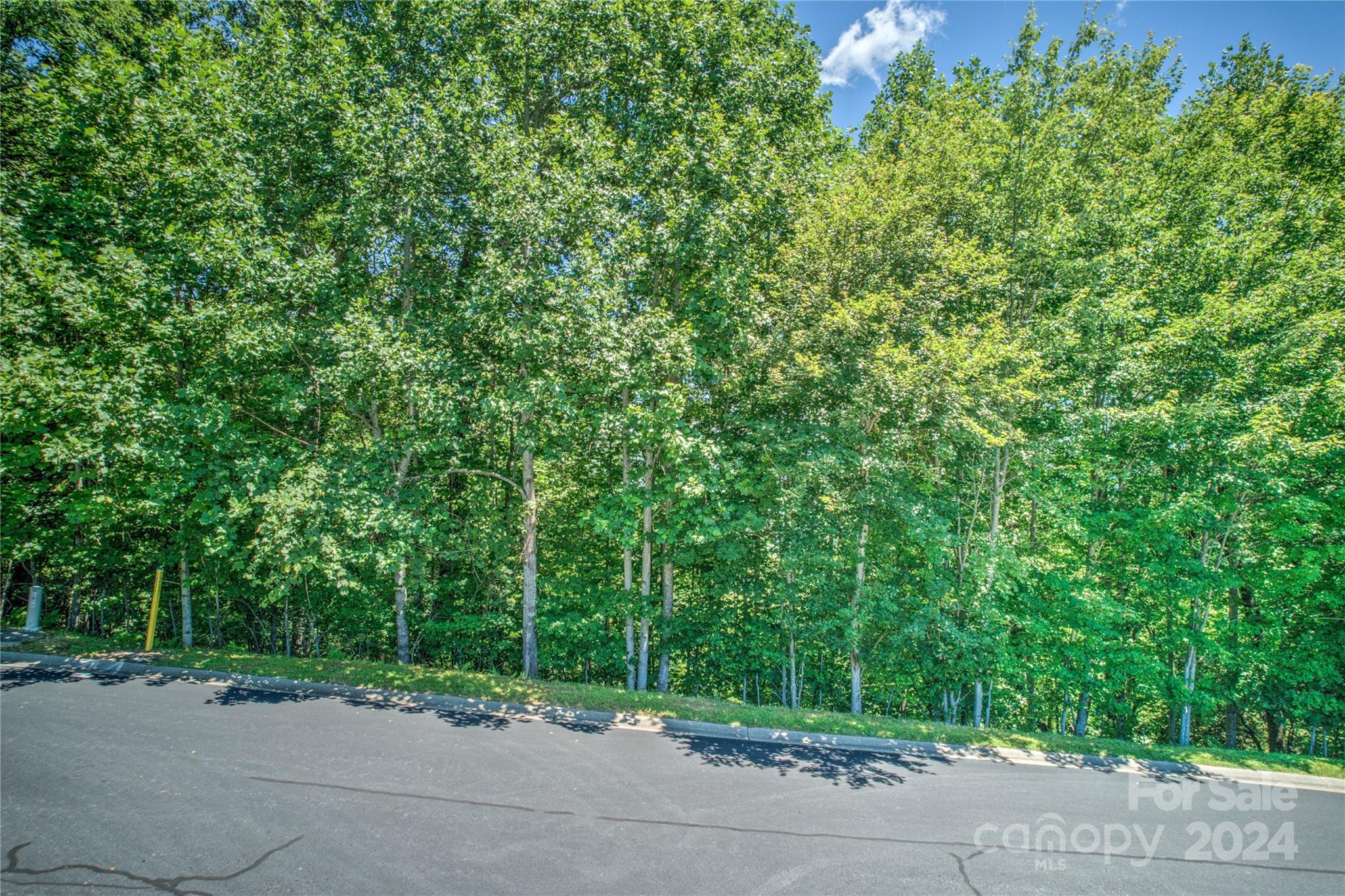 1018 Mills River Way