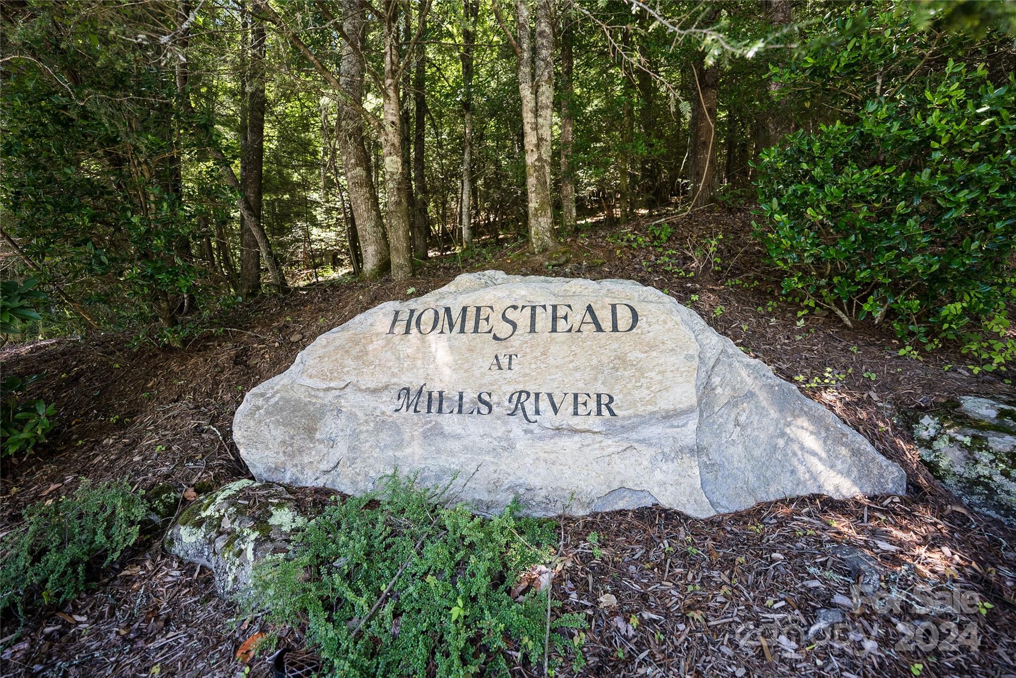 Homestead at Mills River - Land