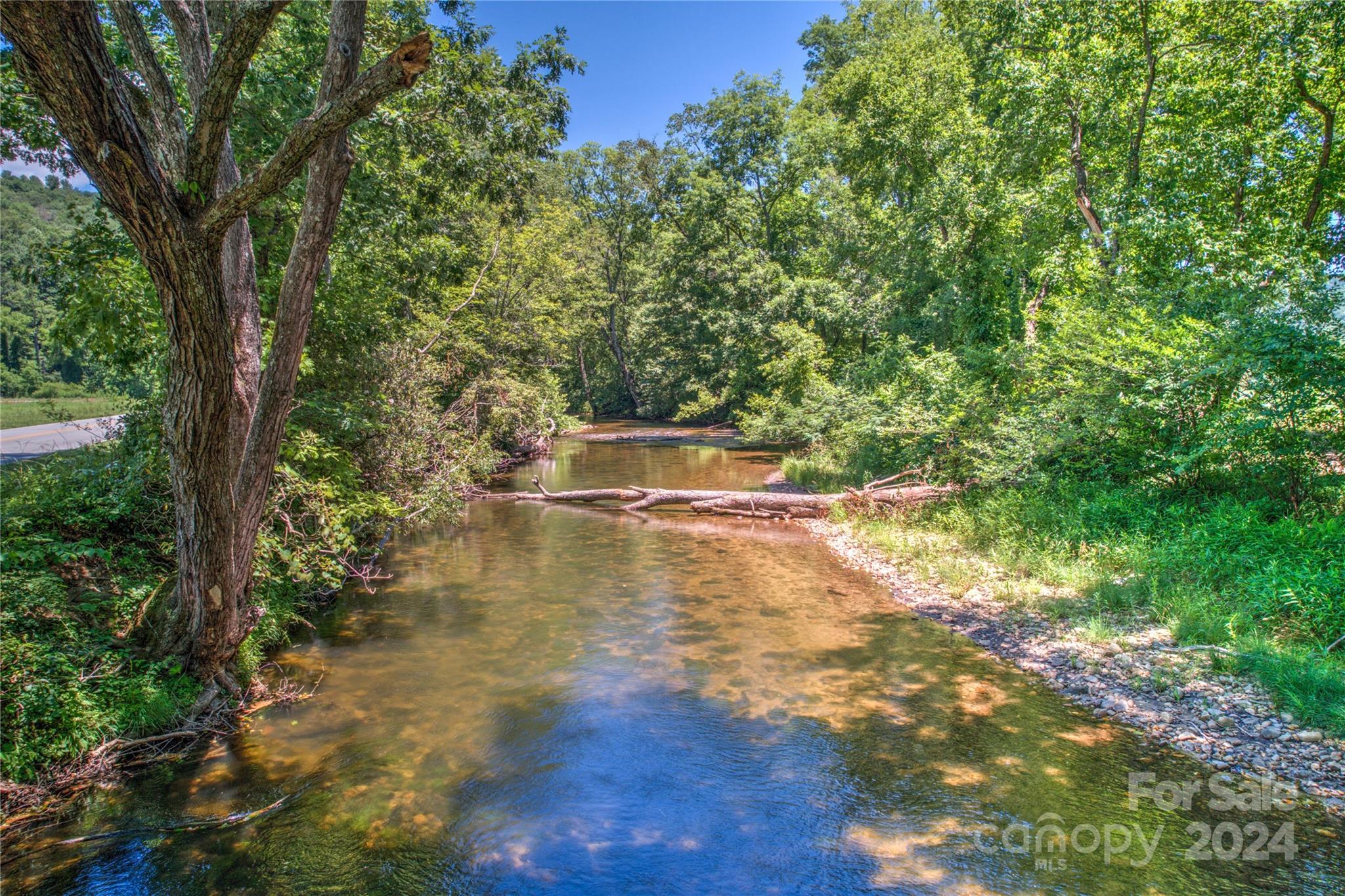 Homestead at Mills River - Land