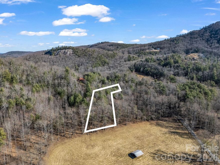 Beautiful lot that offers plenty of privacy and potential long range views.  Come build your dream home or homes on this beautiful lot! New survey reflects 1.49 acres - surveyor is finalizing the plat.  Two additional lots available for a total of 4.95 acres.  Expired septic permits and site plans available for 3 bedroom home.  County would need to reevaluate site plan and septic application will be necessary.