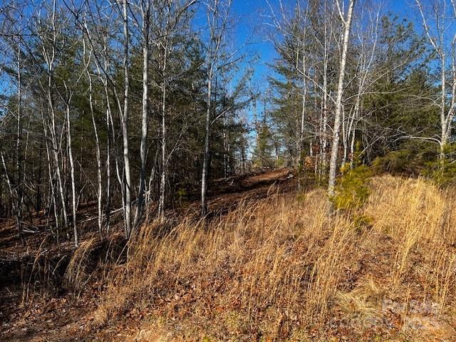 Lot 37 N Mountain Lane