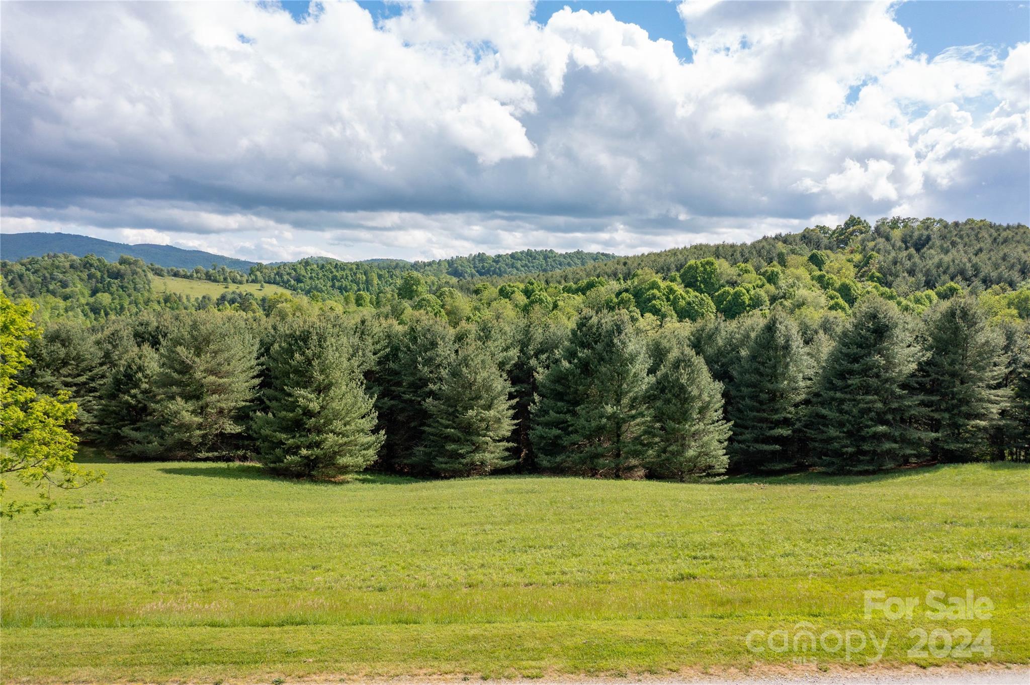 Alleghany Highlands - Residential