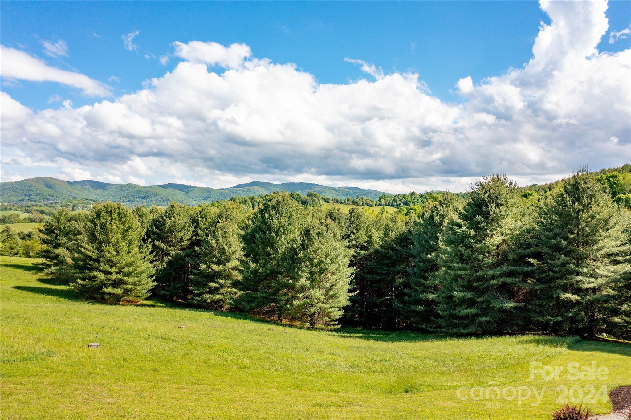 Alleghany Highlands - Residential