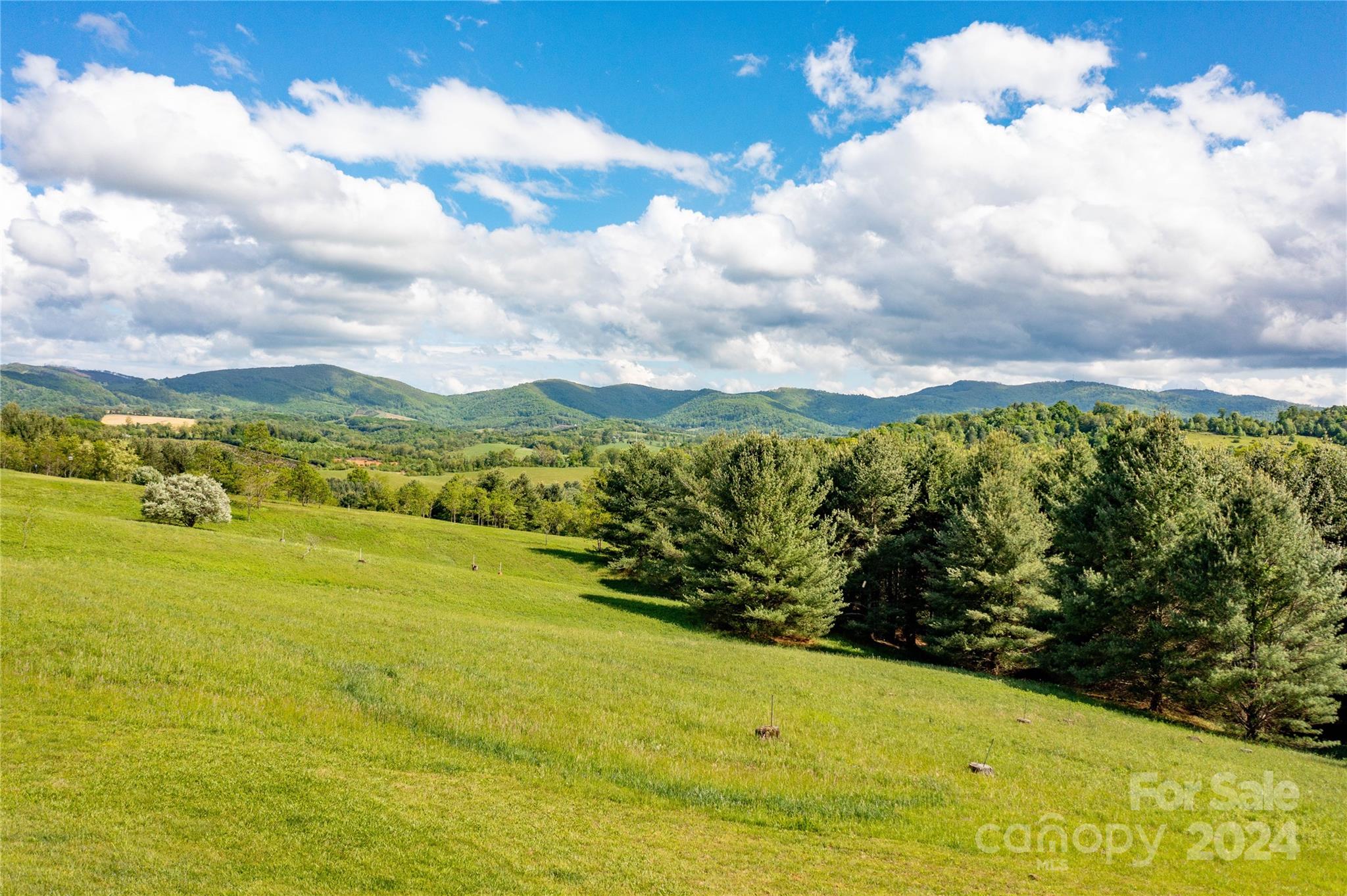 Alleghany Highlands - Residential