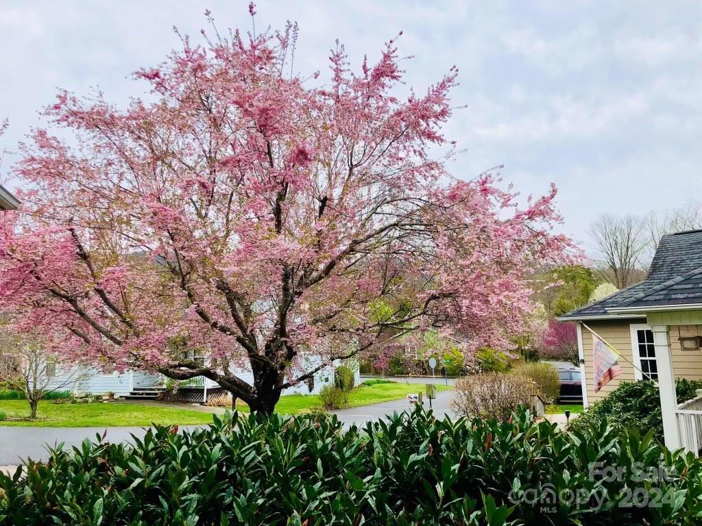 Cotton Creek - Residential