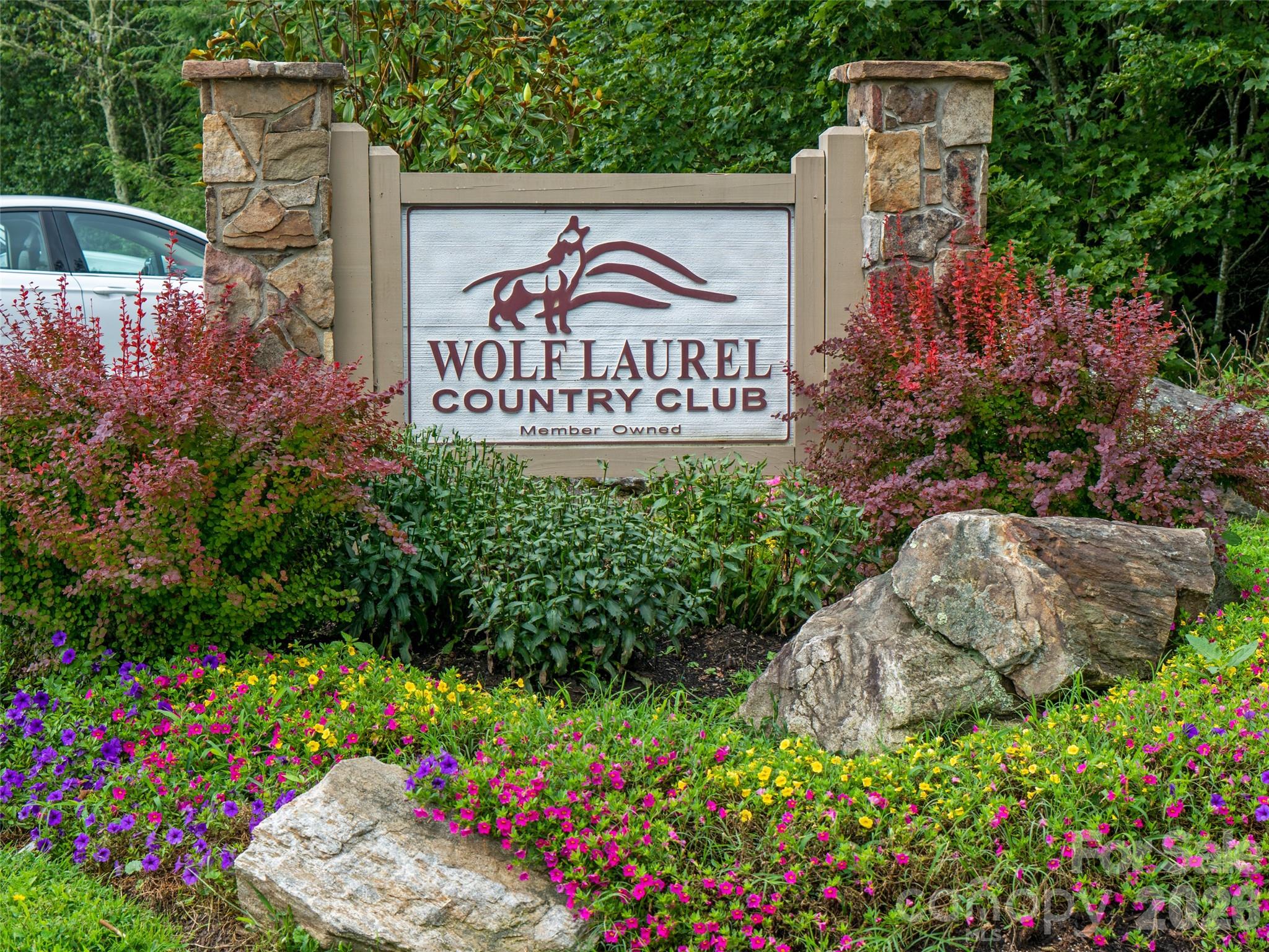 Wolf Laurel - Land