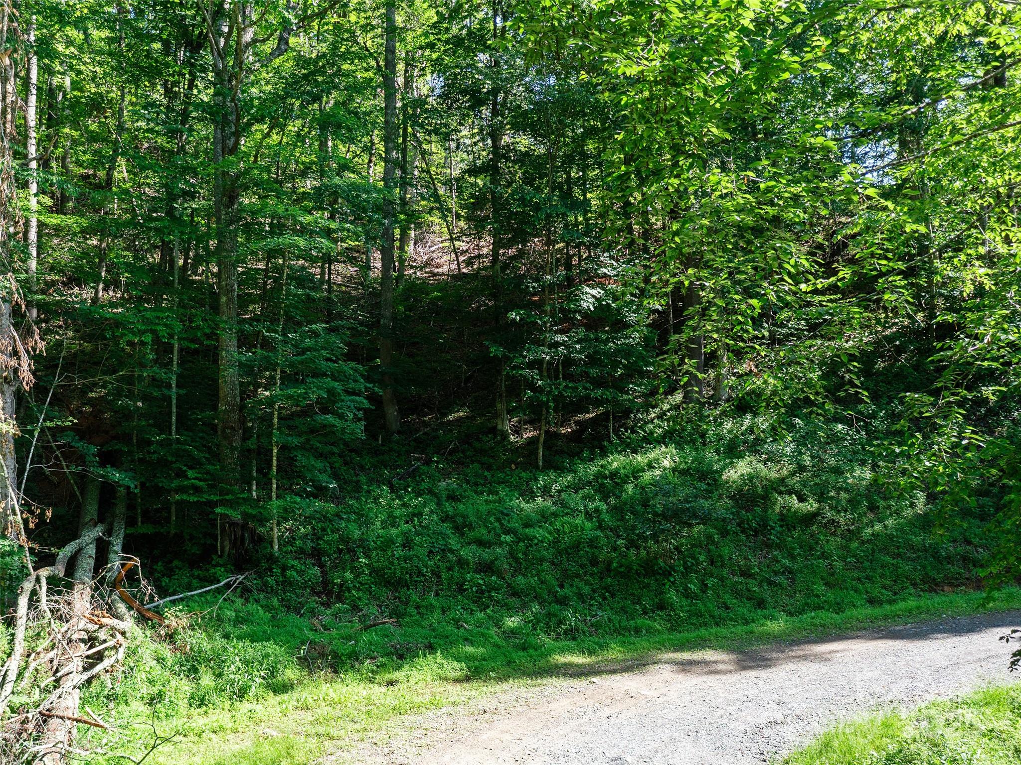 0 Chestnut Lane Lot 84