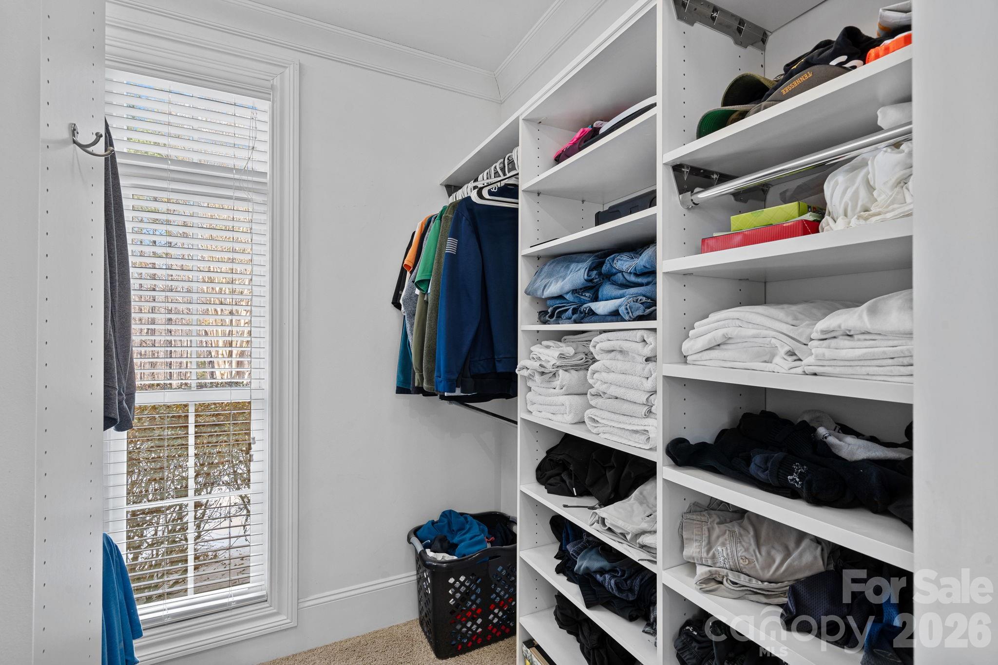 Winding Forest - Residential