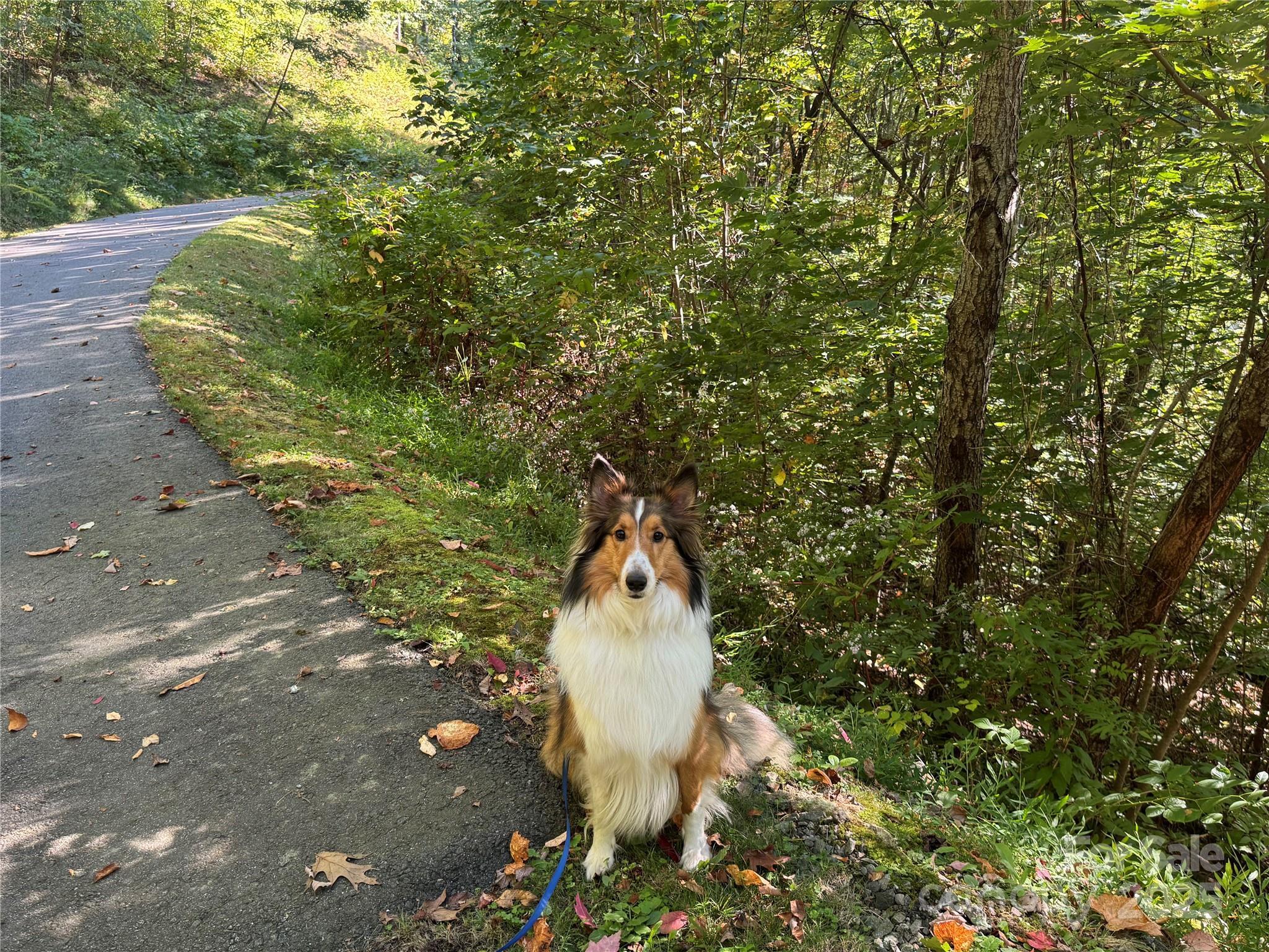 400 High Hickory Trail 25