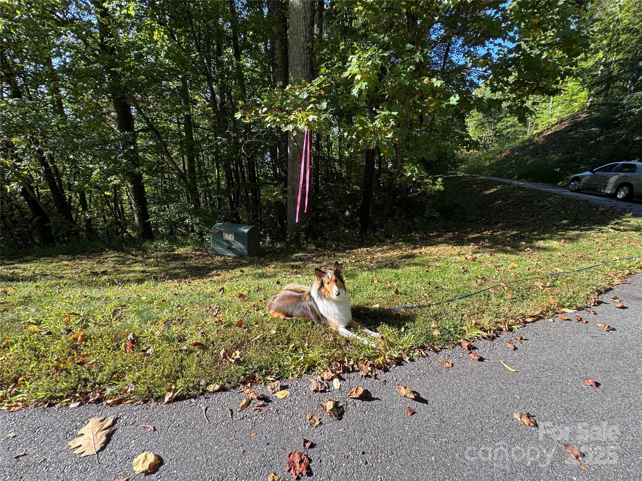 400 High Hickory Trail 25