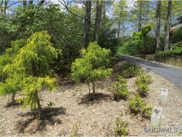 Blue Ridge Overlook - Residential