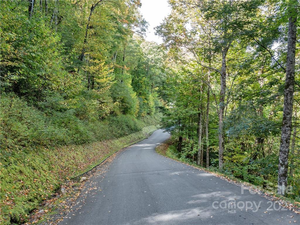 Highland Forest - Land