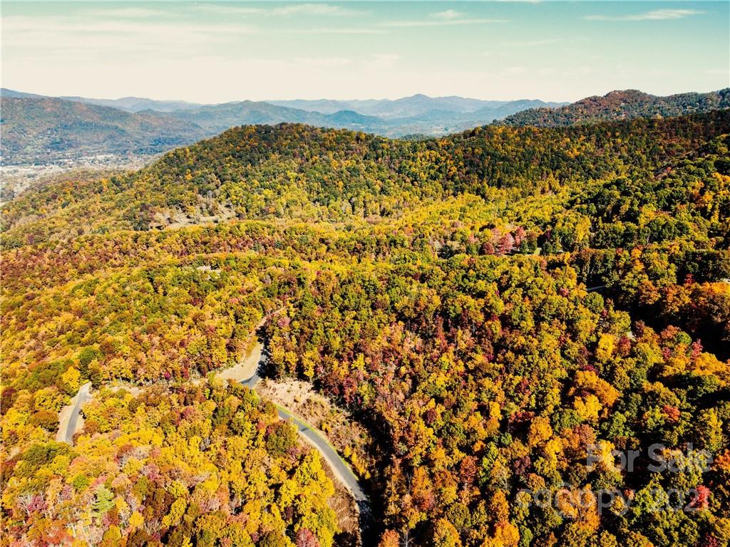 Highland Forest - Land