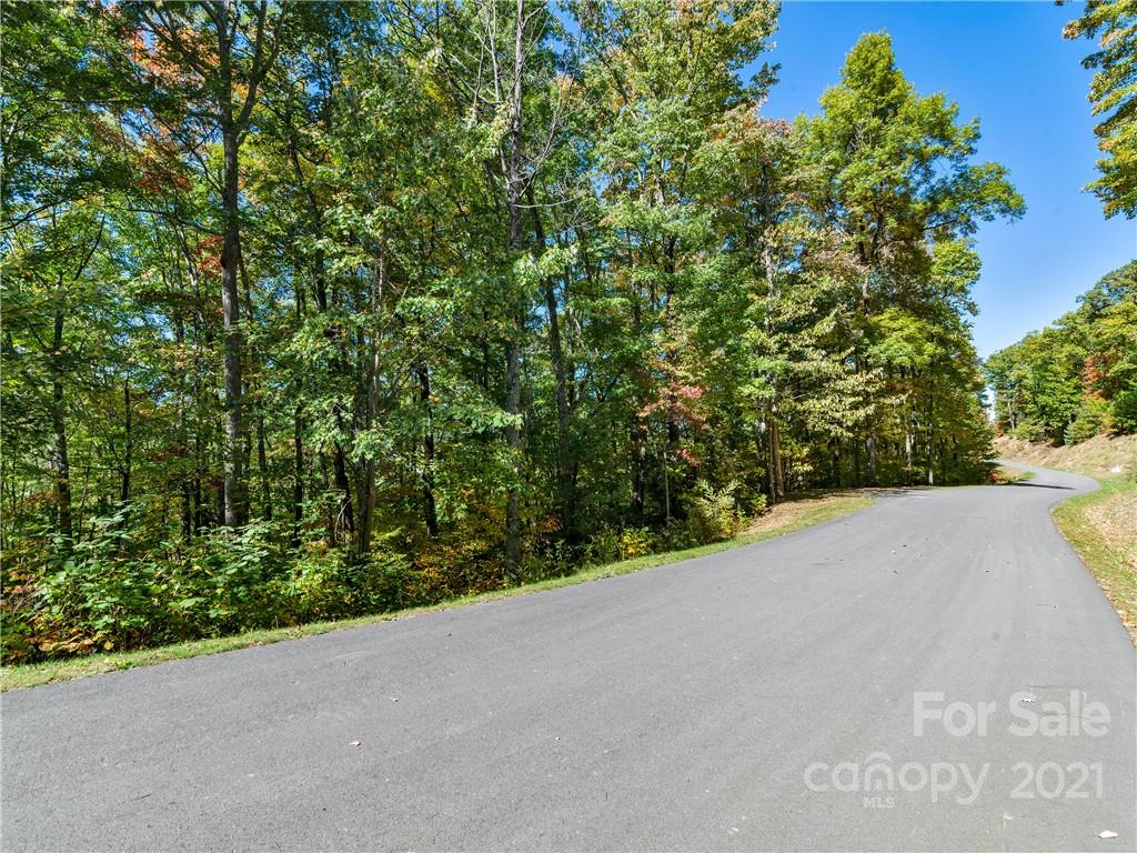 Highland Forest - Land