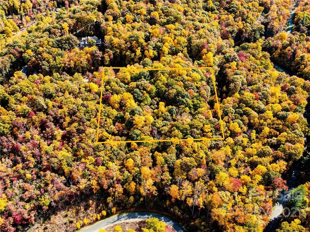 Highland Forest - Land