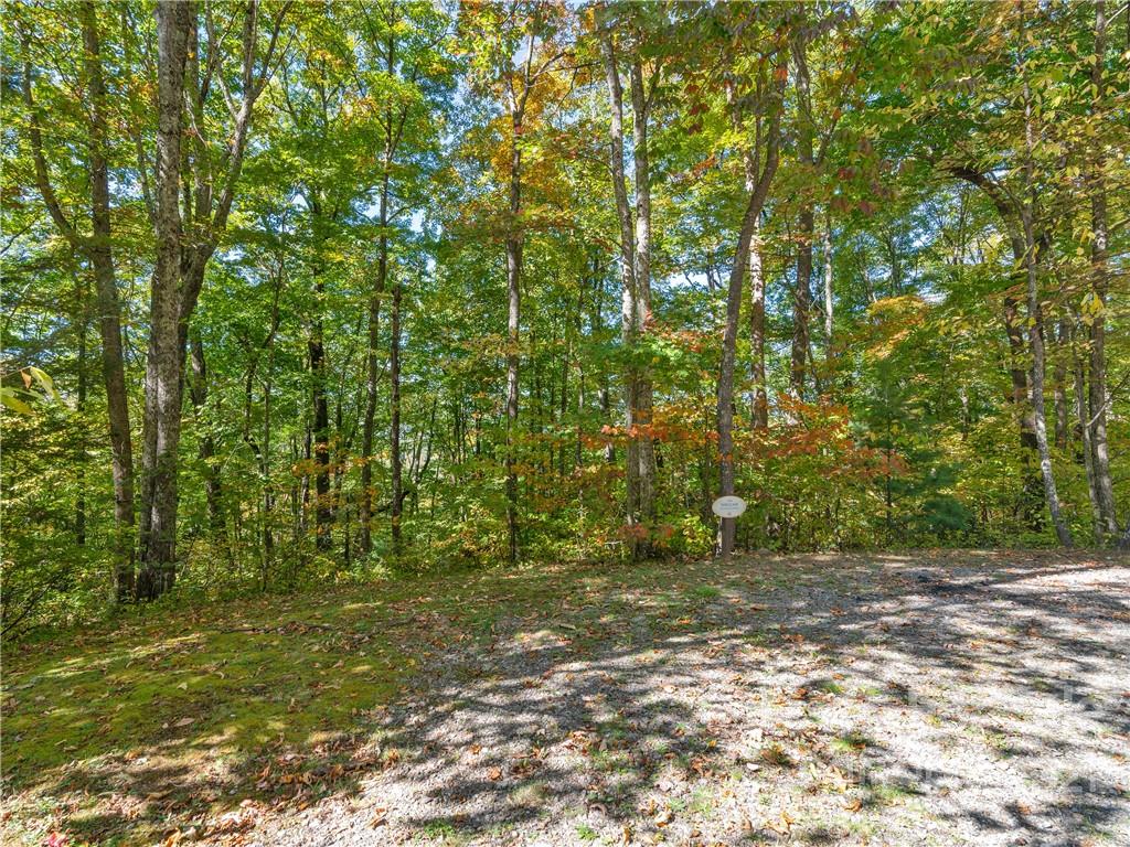 Highland Forest - Land