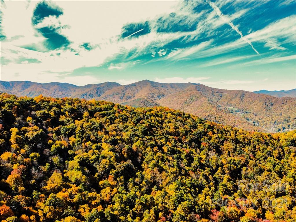 Highland Forest - Land