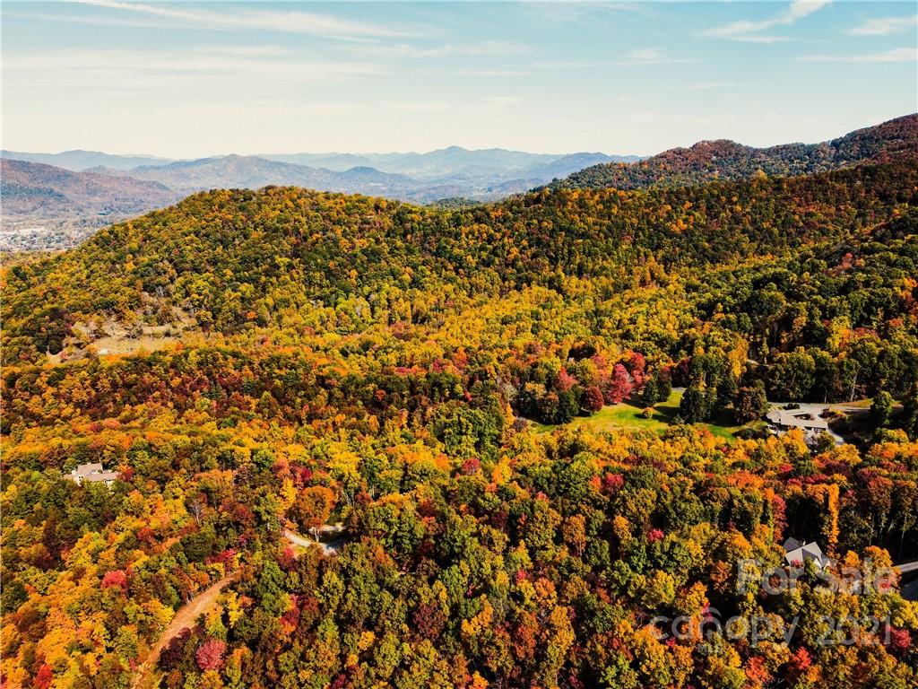 Highland Forest - Land