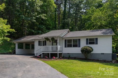 1 Buck Acres Drive Asheville NC 28806