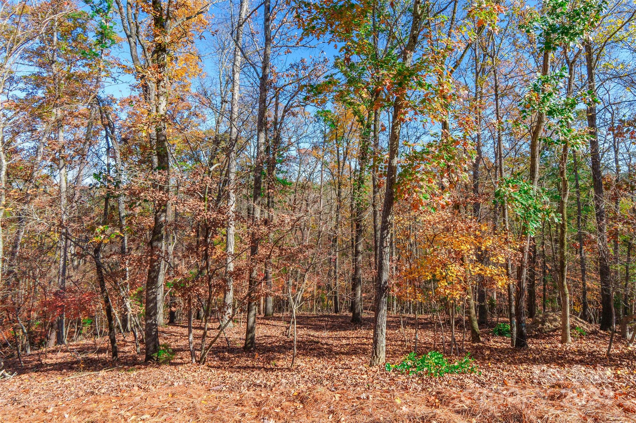 Serenity Point - Residential