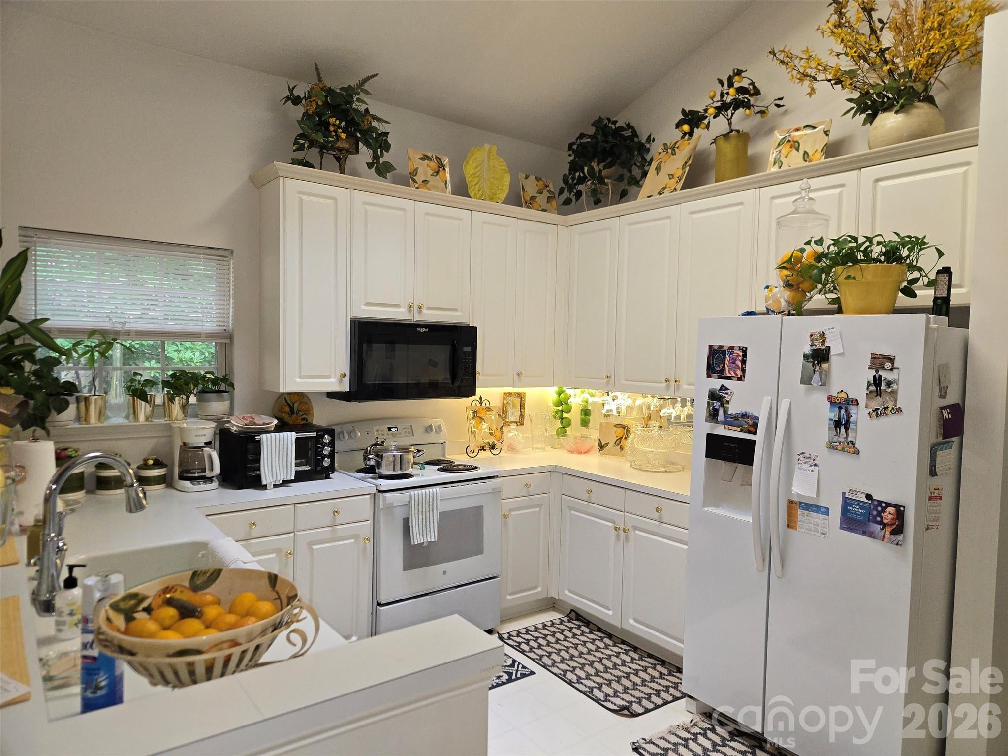 6313 Lily Pad Court