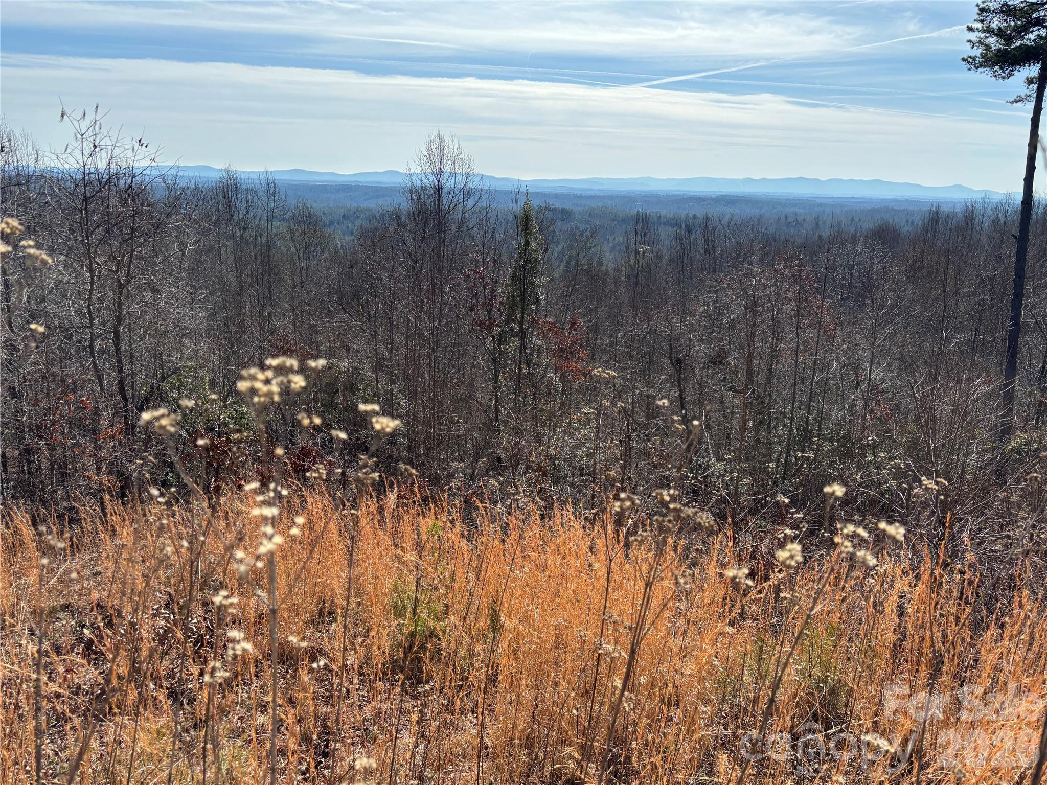 1234 Johns Ridge Parkway 204DE