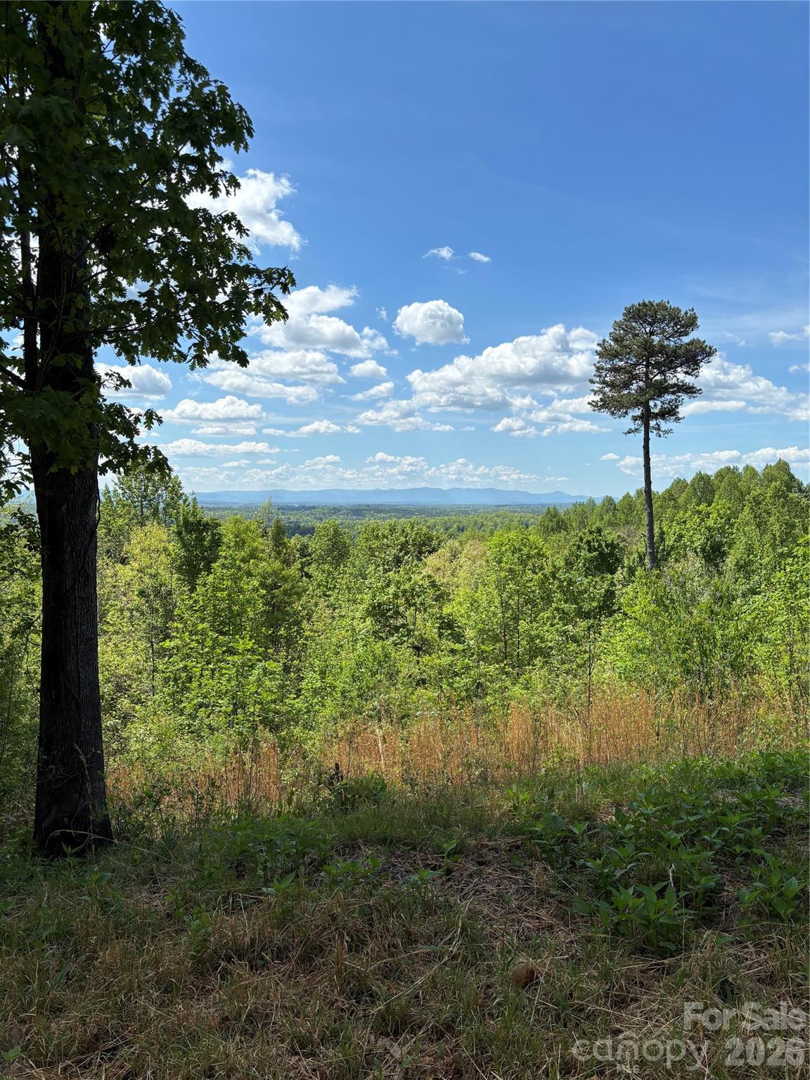 The Coves Mountain River Club - Land