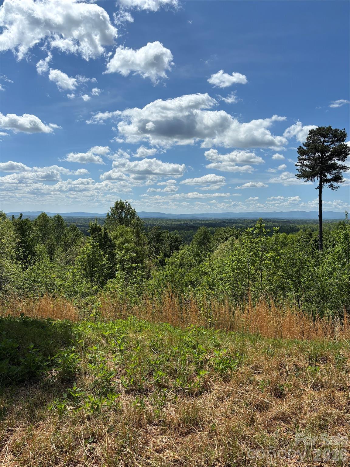 The Coves Mountain River Club - Land