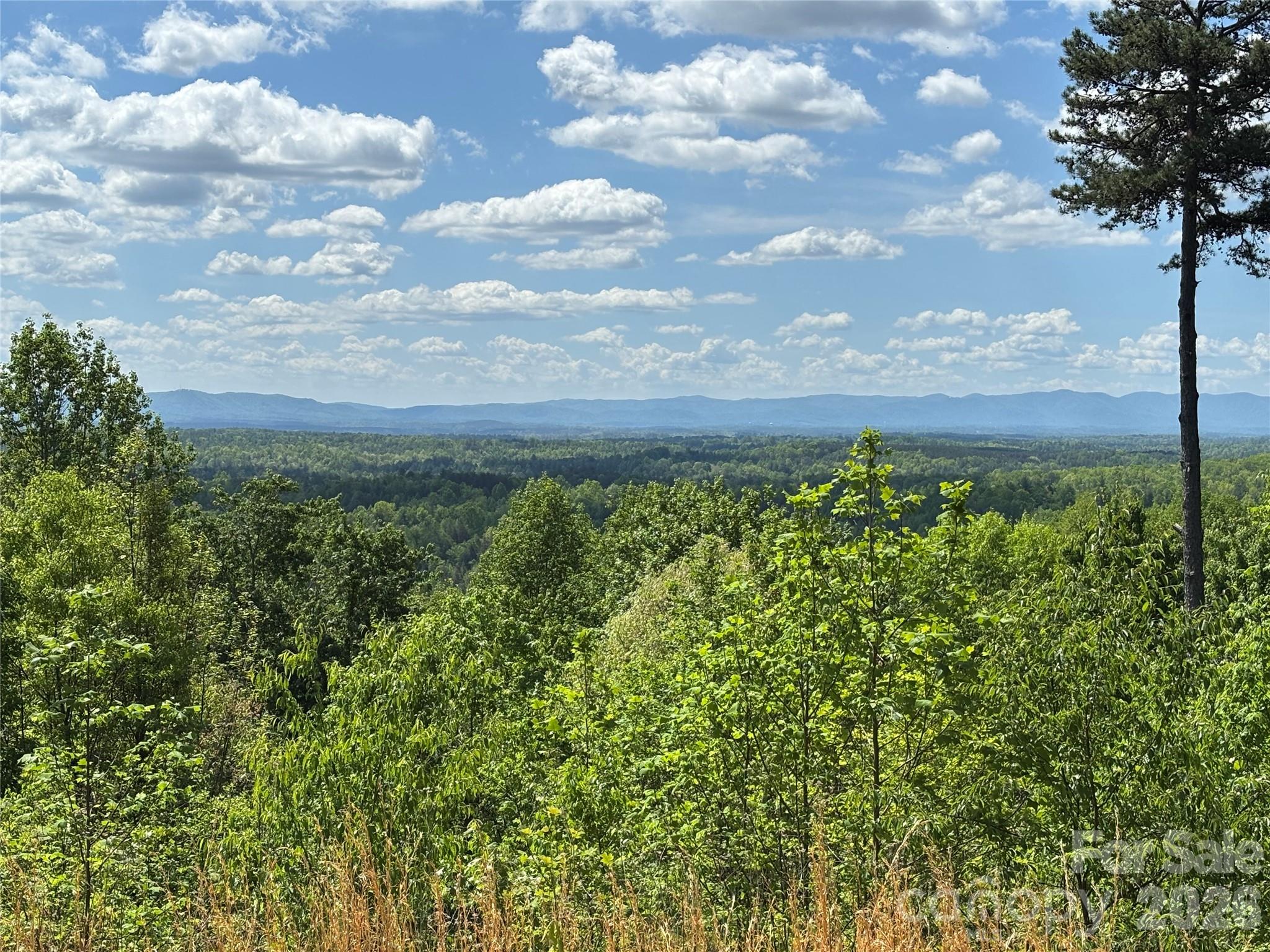 The Coves Mountain River Club - Land
